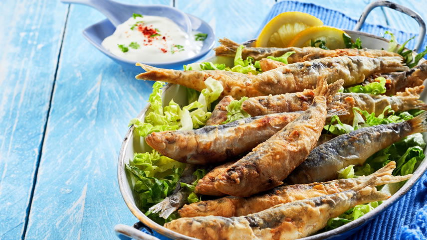 Get a Taste of Greece on Tour!