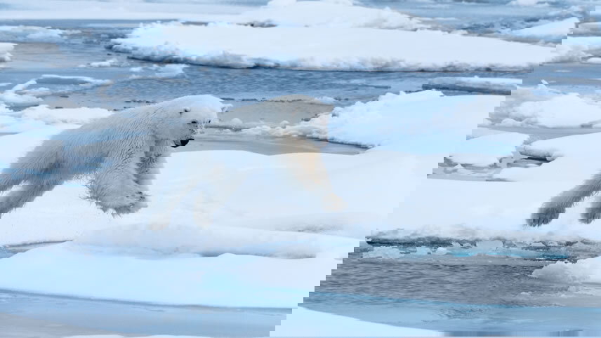 Into the Northwest Passage