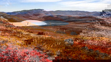 18 Day Wilderness from Greenland to the East Coast of Canada (Ponant)