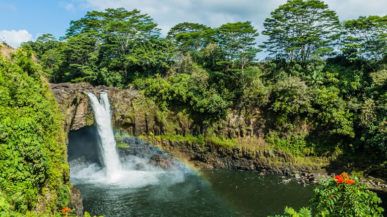 Hawaii Cruise