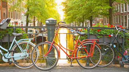 Canal Cruise Amsterdam