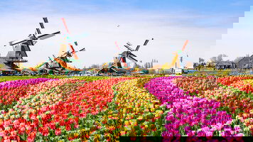 23 Day Bucharest to Amsterdam - Discover the Rhine, Main & Danube (Emerald Cruises)