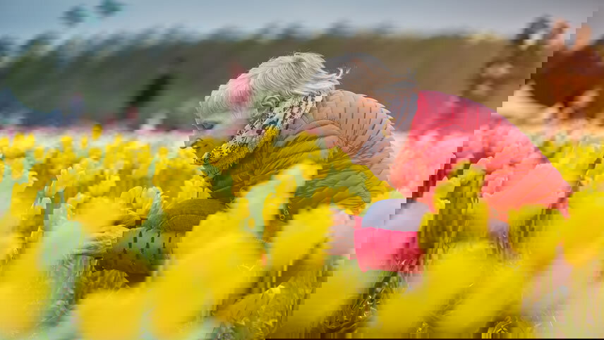 Holland & Belgium at Tulip Time