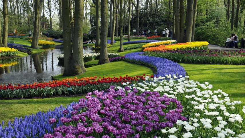 Springtime in the Netherlands and Belgium