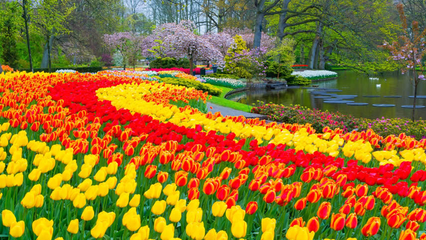 Battlefields with Netherlands and Belgium