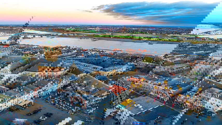 Dutch & Belgian Tulips