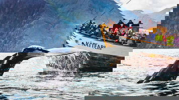 Small Group Tours Tours