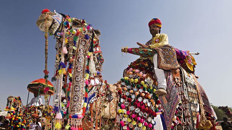 Highlights of Northern India (Pushkar Festival)