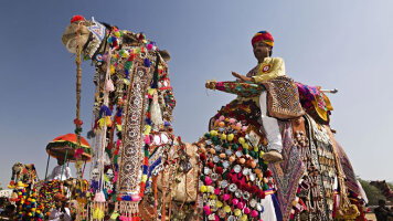 14 Day Highlights of Northern India (Pushkar Festival) (Explore)