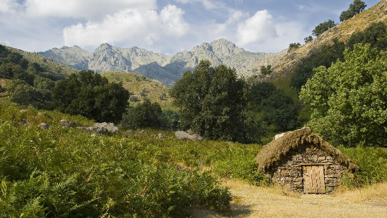 Premium India in Depth