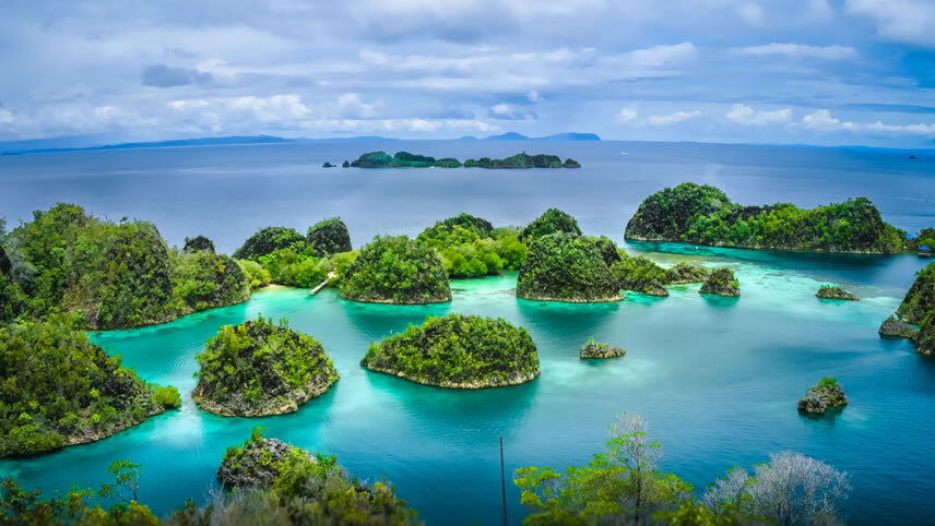 Discover the Heart of the Pacific
