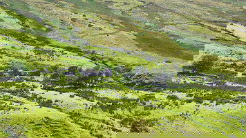 11 Day The Scots Irish Tour (CIE Tours)