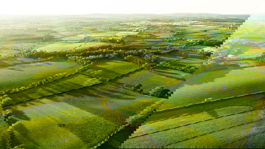 Irish Heritage & Dromoland Castle