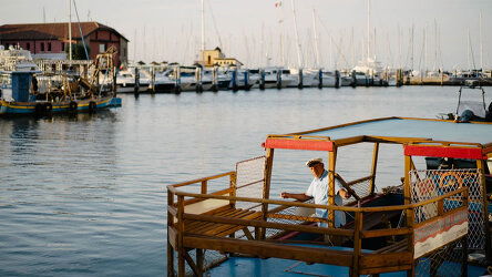 Chioggia Fish Market