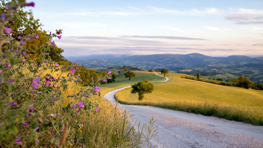 Discover Urbino in the Le Marche Region of Italy with Albatross Tours