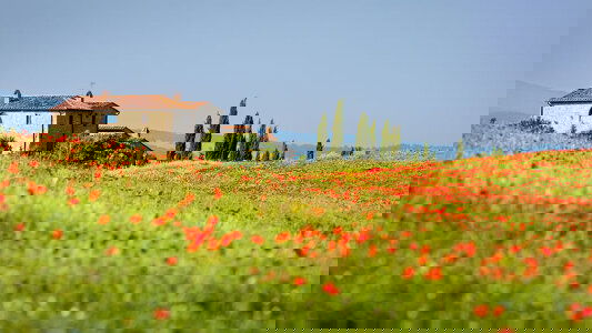 Tuscany Tours Tours)