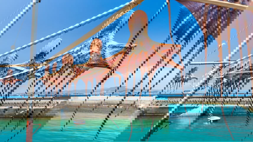 Island Wonders & the Soul of Ancestral Japan