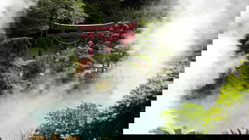 14 Day Sakura Seas: Japan & South Korea (Tauck)