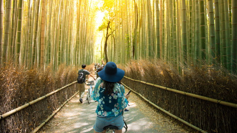 Cycling Arashiyama Bamboo Forest, Kyoto, Japan Cycling Arashiyama Bamboo Forest, Kyoto, Japan