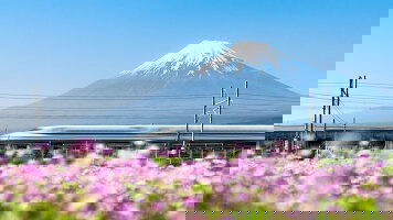 12 Day Classic Japan: Land of the Rising Sun (Cosmos)