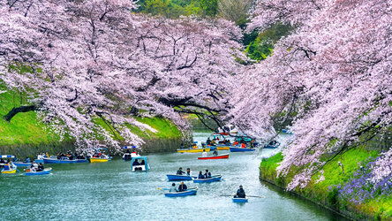 Chidorigafuchi Park, Tokyo
