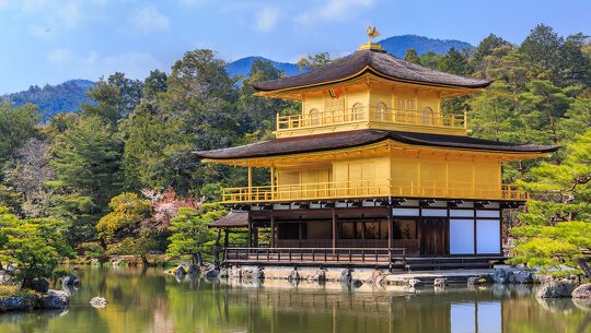 Cultural Immersion in Kyoto