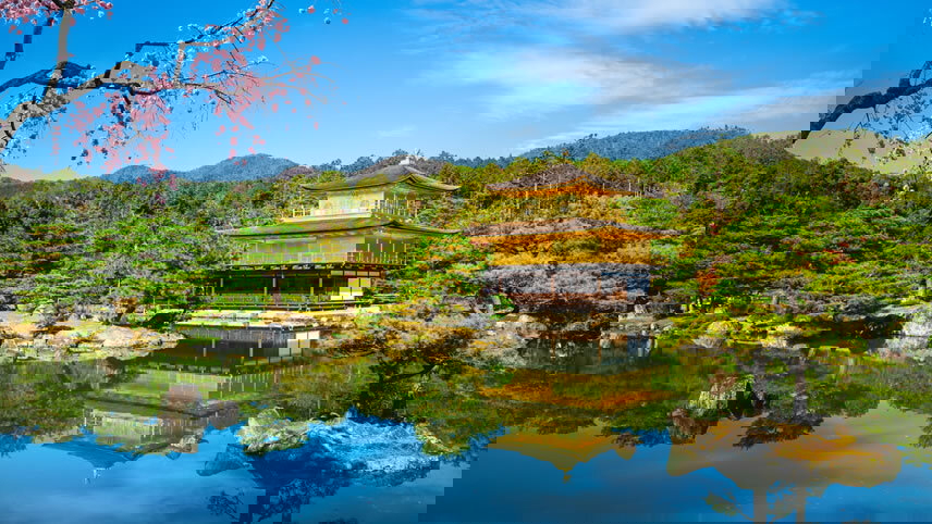 South Korea & Japan Discovery