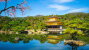 Kinkakuji Temple 