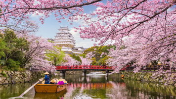 11 Day Osaka to Busan: Cities, Culture & Coastal Gems (Emerald Cruises)