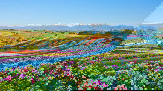 Princess Cruises Unveils Summer Japan Cruises