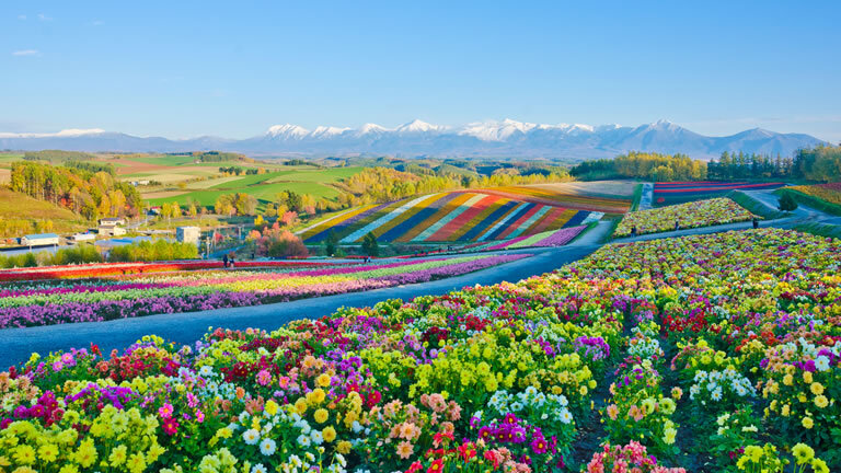 North Pacific Crossing