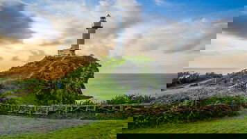 19 Day Grand Japan with Okinawa & Taiwan (Princess)