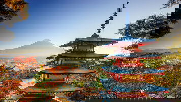 Japan Tours)
