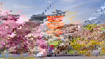 8 Day Highlights of Japan (Exodus)