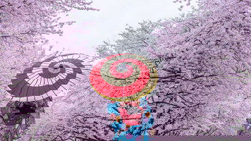 A Journey of Discovery