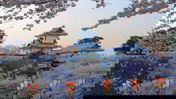 13 Day Essence of Japan (Tauck)