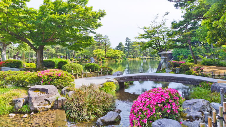 Circle Japan Fall Foliage