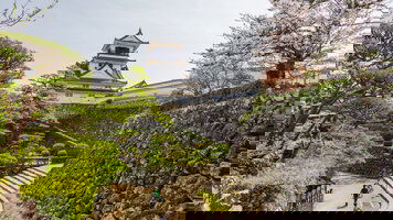 31 Day Japan Fall Foliage, Shanghai Nights & Seoul Sunsets (Seabourn)