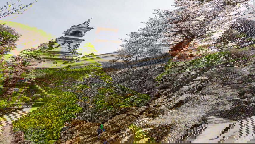 Exploring Japan's Fall Foliage