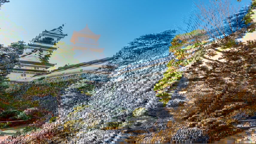 Japan's Fall Foliage, Osaka Nights & Taiwan