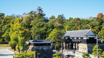 29 Day South Korea Discovery & Circle Japan (Holland America)