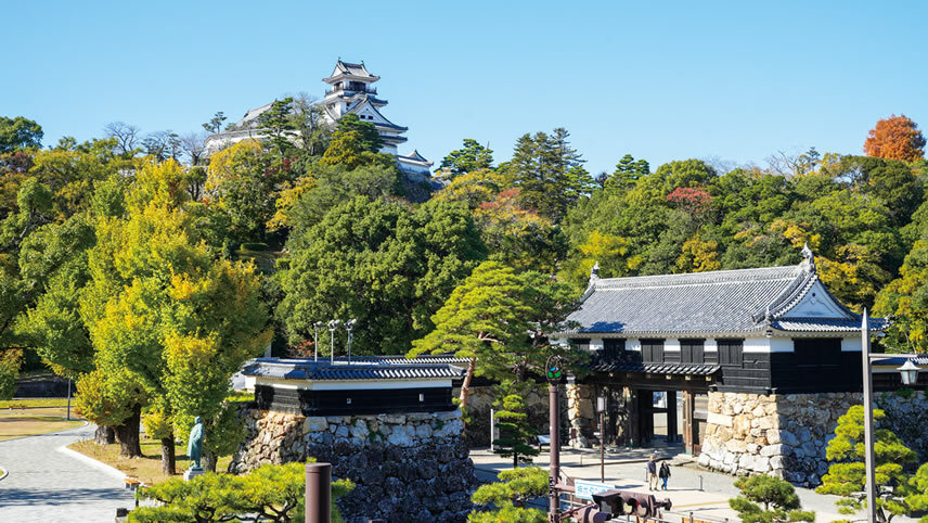 Best Of Japan Cruise