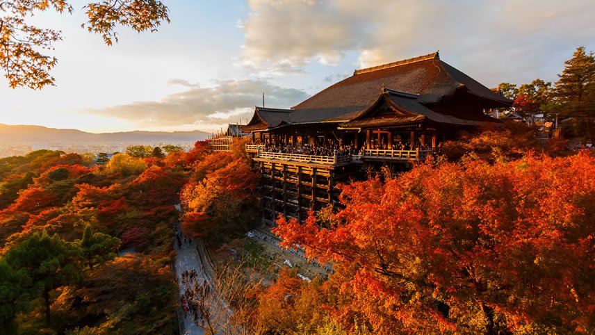 Japan's Golden Route and Coastal Discovery