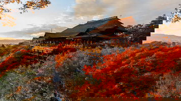 18 Day Grand Japan (Princess)