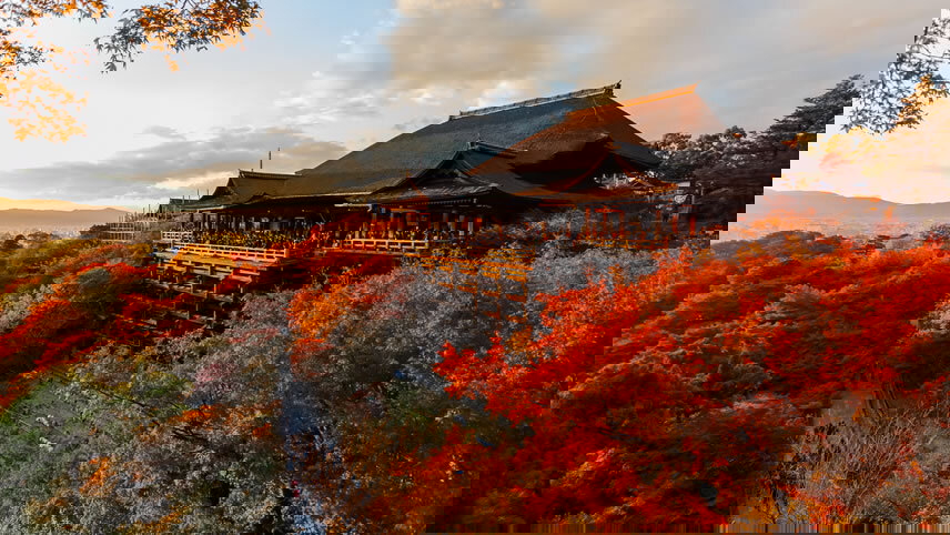 Independent Tokyo & Kyoto City Stays