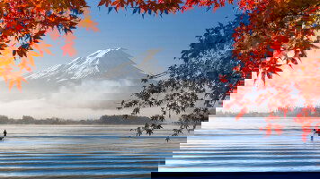 17 Day Tokyo To Los Angeles Cruise (Royal Caribbean)