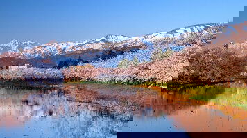 20 Day Grand Circle Japan (Princess)