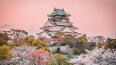 13 Day Wonders of Japan with Hiroshima (Emerald Tours)