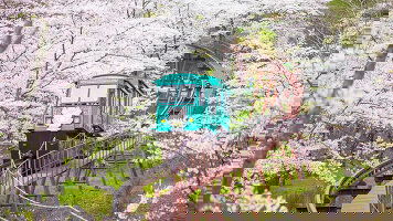 29 Day Golden Latittude (Regent Seven Seas)