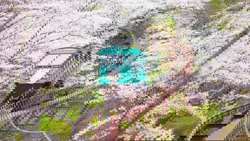 Alaska Explorer Cruisetour: Denali, Talkeetna, Riverboat & Rail